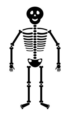 Gülümseen sevimli vektör iskeleti