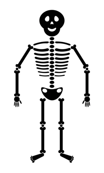 Esqueleto Vetor Bonito Que Sorri — Fotografia de Stock