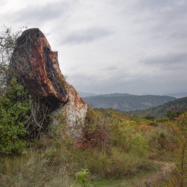 Estella, İspanya - 30 Ekim 2022: Parque de los Desvelados, dev kafatasları ve harabe araçlarla açık hava sanat kurulumu