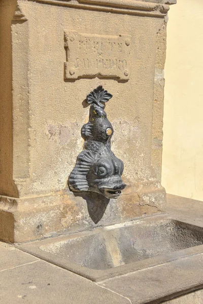 Fischförmiger Brunnen Der Mittelalterlichen Stadt Olite Navarra Spanien — Stockfoto