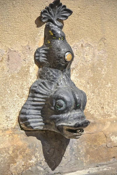 Fish Shaped Fountain Medieval Town Olite Navarre Spain — Stock Photo, Image