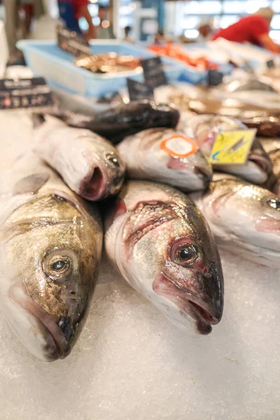 Las Halles pazarında taze balık ve deniz ürünleri satılıyor, Biarritz, Fransa