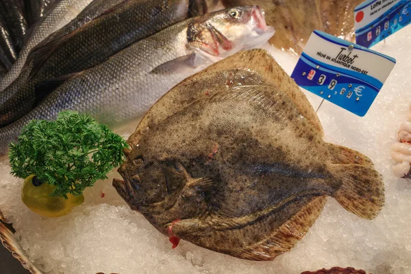 Čerstvé Ryby Mořské Plody Prodeji Trhu Las Halles Biarritz Francie — Stock fotografie