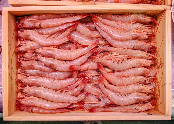 Santander Španělsko Října 2022 Čerstvě Chycené Krevety Prodeji Mercado Esperanza — Stock fotografie