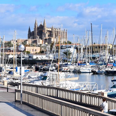 Palma de Mallorca, İspanya - 8 Kasım 2022: Limandan Palma Katedrali manzarası