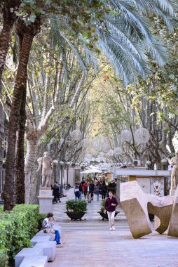 Palma, Mallorca, İspanya - 12 Kasım 2022: Las Ramblas Bulvarı boyunca uzanan ağaçlar