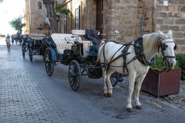 Palma de Mallorca, İspanya - 7 Kasım 2022: Palma 'nın eski kasabasında turistleri taşımaya hazır bir at arabası
