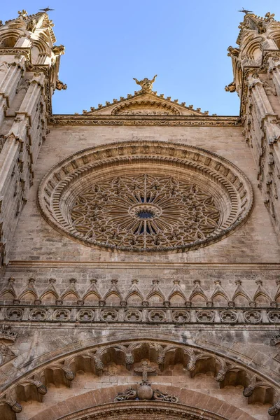 Palma Mallorca Nov 2022 Puerta Entrada Basílica Catedral Santa Maria — Foto de Stock
