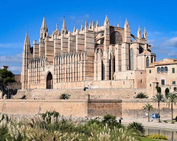 帕尔马 马洛尔卡 西班牙 2022年11月7日 帕尔马大教堂 Palma Cathedral 简称Seo 外的海滨长廊 — 图库照片