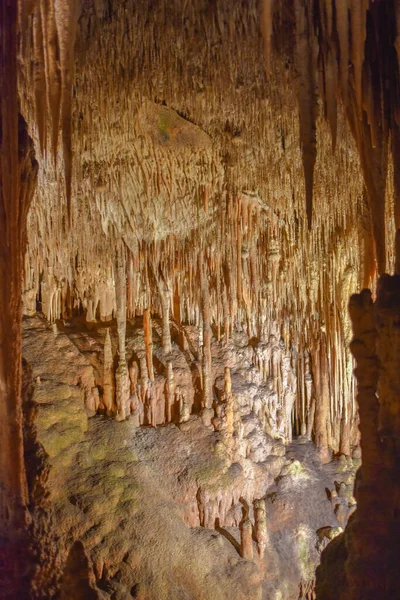 ポルト クリスト マヨルカ スペイン Nov 2022 Cuevas Del Drachの地下洞窟 — ストック写真