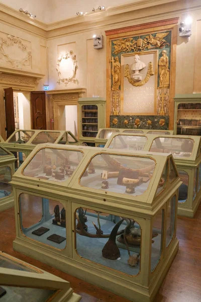Bolonha Itália Novembro 2022 Exposições Museu Ciências Palazzo Poggi — Fotografia de Stock