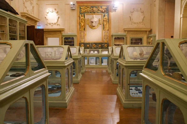 Bologna Olaszország 2022 November Kiállítás Museo Palazzo Poggi Tudományos Múzeumban — Stock Fotó