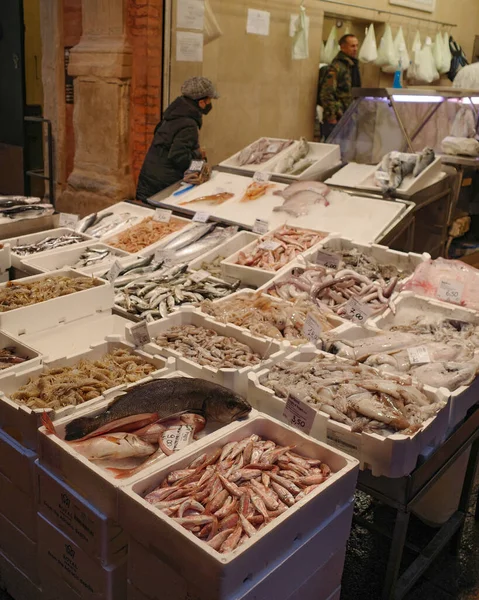 Boloňa Itálie Listopadu 2022 Čerstvé Ryby Prodeji Trhu Blízkosti Náměstí — Stock fotografie