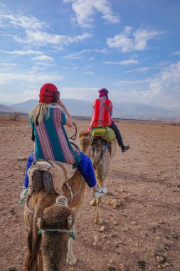 Marakeş, Fas - 22 Şubat 2023: Turistler Agafay Çölü 'nde Dromedary develerine biniyor.