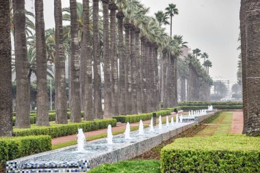 Kazablanka, Fas - 9 Şubat 2023: Kazablanka 'nın göbeğindeki Arap Birliği Parkı