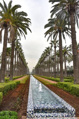 Kazablanka, Fas - 9 Şubat 2023: Kazablanka 'nın göbeğindeki Arap Birliği Parkı