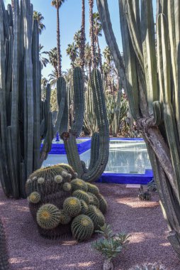 Marakeş, Fas - 7 Şubat 2023 Yves Saint Laurent 'in Majorelle Bahçeleri, Casa Oasis, Marakeş