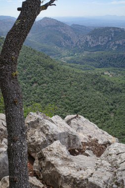 Esporles, İspanya - 11 Haziran 2023: GR221 patikasından Tramuntana Dağları manzarası, Esporles, Mallorca