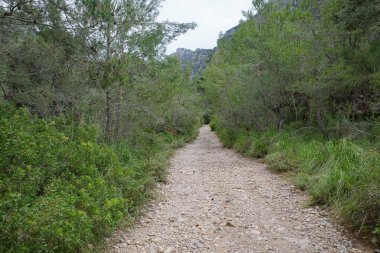 Valldemossa, İspanya - 11 Haziran 2023: Tramontana Dağları, Mallorca 'da GR221 üzerinde yürüyüş yolları