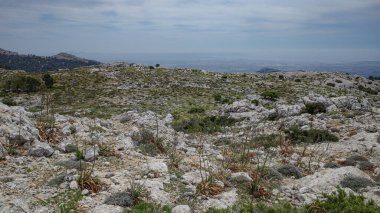 Mallorca, İspanya - 11 Haziran 2023: Puig Caragoli, Mallorca 'dan Akdeniz ve Tramuntana Dağları manzaraları