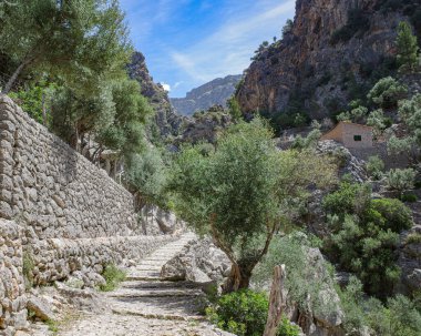 Mallorca, İspanya - 12 Haziran 2023: Barranc de Biniaraix ve GR221 Tramuntana Dağları, Mallorca