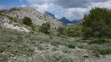 Mallorca, İspanya - 12 Haziran 2023: Barranc de Biniaraix ve GR221 Tramuntana Dağları, Mallorca