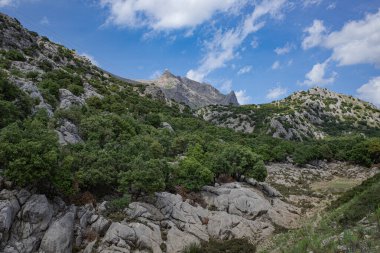 Mallorca, İspanya - 12 Haziran 2023: GR221 yolu boyunca Mallorca 'daki Tramuntana Dağları boyunca görüntüler