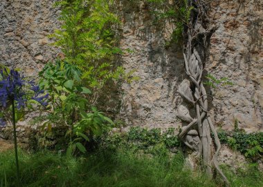 Mallorca, İspanya - 23 Temmuz 2023: Tarihi Jardines de Alfabia botanik bahçeleri, Mallorca