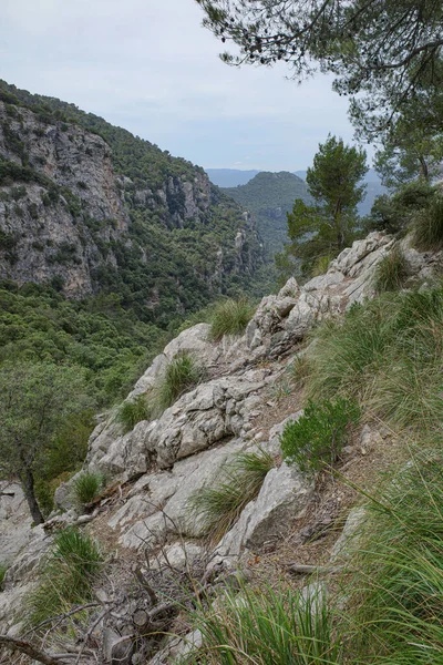 Valldemossa Španělsko Června 2023 Turistická Stezka Gr221 Tramontanských Horách Mallorca — Stock fotografie