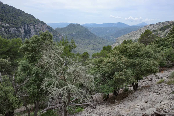 발데모사 스페인 2023년 11일 마요르카의 트라몬타나 산맥의 Gr221 하이킹 트레일 — 스톡 사진