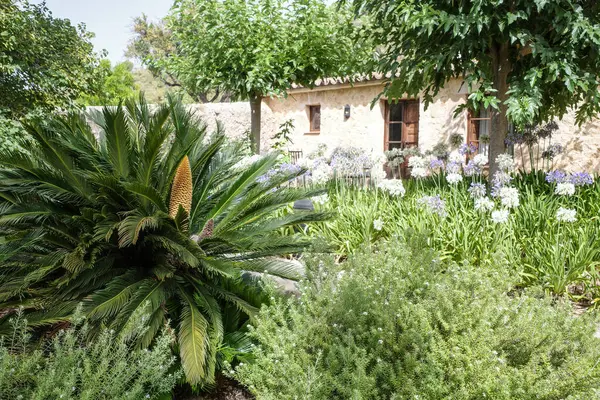 Mallorca Spain July 2023 Lush Tropical Gardens Agroturismo Hotel Mallorca — Stock Photo, Image