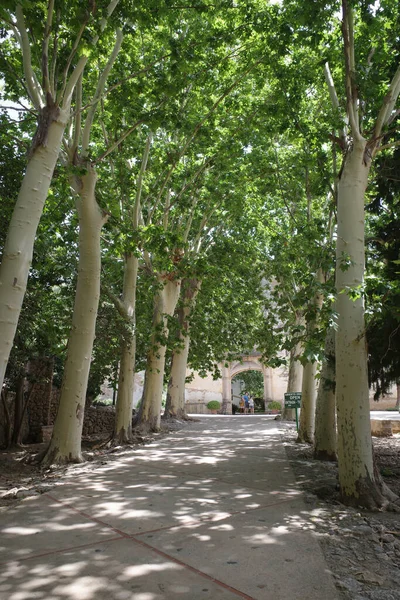 Majorque Espagne Juillet 2023 Jardins Historiques Alfabia Jardins Botaniques Majorque — Photo