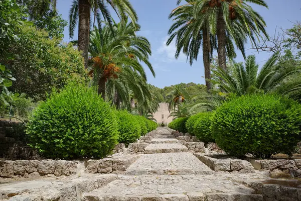 Майорка Испания Июля 2023 Года Исторические Ботанические Сады Jardines Alfabia — стоковое фото