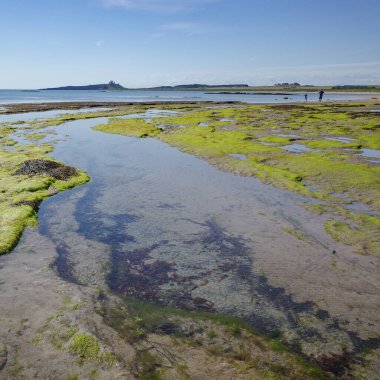 Low Newton, İngiltere - 13 Temmuz 2023: Deniz kıyısındaki Low Newton 'dan Northumberland sahili