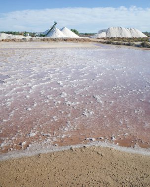Mallorca, İspanya - 12023 Kasım: Salines des Trenc 'te doğal tuz toplama