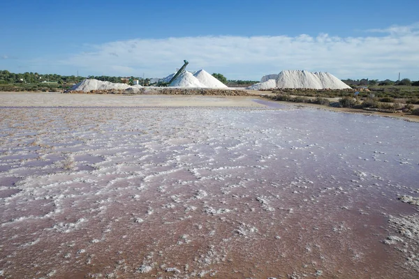 Mallorca, İspanya - 12023 Kasım: Salines des Trenc 'te doğal tuz toplama