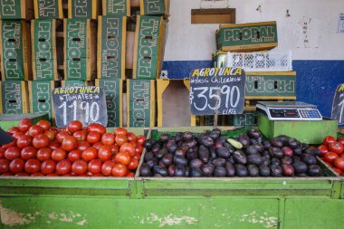 Santiago, Şili - 26 Kasım 2023: Santiago şehir merkezindeki Mercado La Vega 'da taze meyve ve sebzeler satılıyor