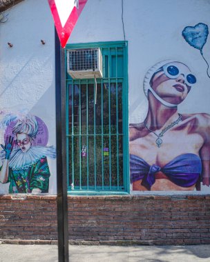Santiago, Şili - 26 Kasım 2023: Santiago 'nun bohem Bellavista bölgesinde sokak sanatı