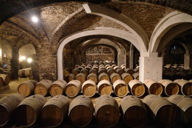 Santiago, Şili - 25 Kasım 2023: Tarihi Santa Rita üzüm bağlarındaki şarap şişeleri ve fıçıları