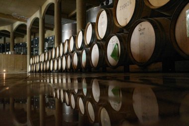 Santiago, Şili - 25 Kasım 2023: Haras de Pirque Vineyard ve şarap imalathanesi, Santiago, Şili