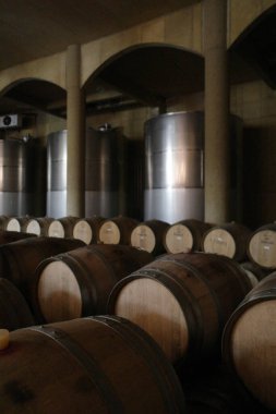 Santiago, Chile - 25 Nov, 2023: Haras de Pirque Vineyard and winery, near Santiago, Chile clipart