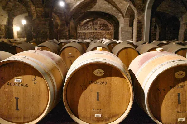 Santiago Chile Nov 2023 Wine Bottles Barrels Storage Historic Santa Royalty Free Stock Images