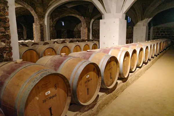Santiago Chile Nov 2023 Wine Bottles Barrels Storage Historic Santa Stock Picture