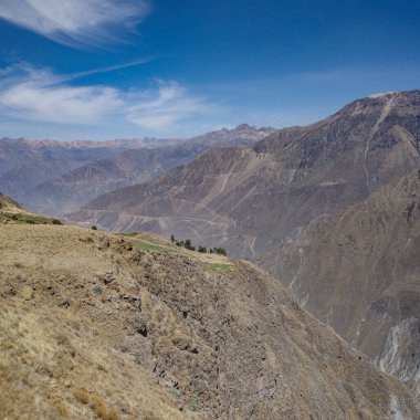 Colca Kanyonu, Peru - 7 Aralık 2023: Mirador Cruz del Condor bakış açısından Colca Kanyonu 'nun panoramik manzarası