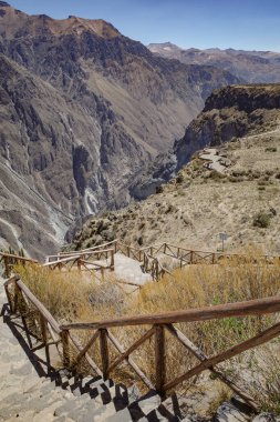 Colca Kanyonu, Peru - 7 Aralık 2023: Mirador Cruz del Condor bakış açısından Colca Kanyonu 'nun panoramik manzarası
