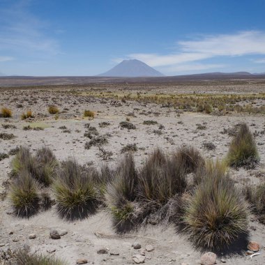 Arequipa, Peru - 5 Aralık 2023: Reserva Nacional de Salinas y Aguada Blanca, Arequipa boyunca panoramik manzara