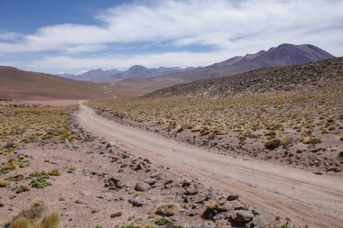 San Pedro de Atacama, Şili - 1 Aralık 2023 Atacama Çölü 'nün yüksek irtifa düzlüklerinde volkanik manzaralar