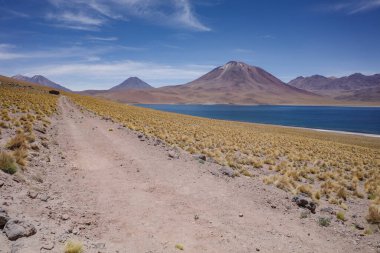 San Pedro de Atacama, Şili - 1 Aralık 2023: Laguna Miscanti Atakama Çölü manzaraları