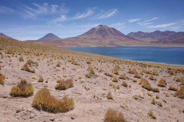 San Pedro de Atacama, Şili - 1 Aralık 2023: Laguna Miscanti Atakama Çölü manzaraları