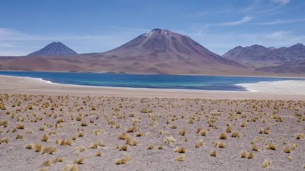 stock image San Pedro de Atacama, Chile - Dec 1, 2023: Laguna Miscanti landscapes in the Atacama Desert